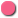 bullet